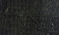 IMAG0418