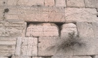 IMAG0429